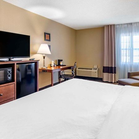 Comfort Inn & Suites Raphine - Lexington Near I-81 And I-64 מראה חיצוני תמונה