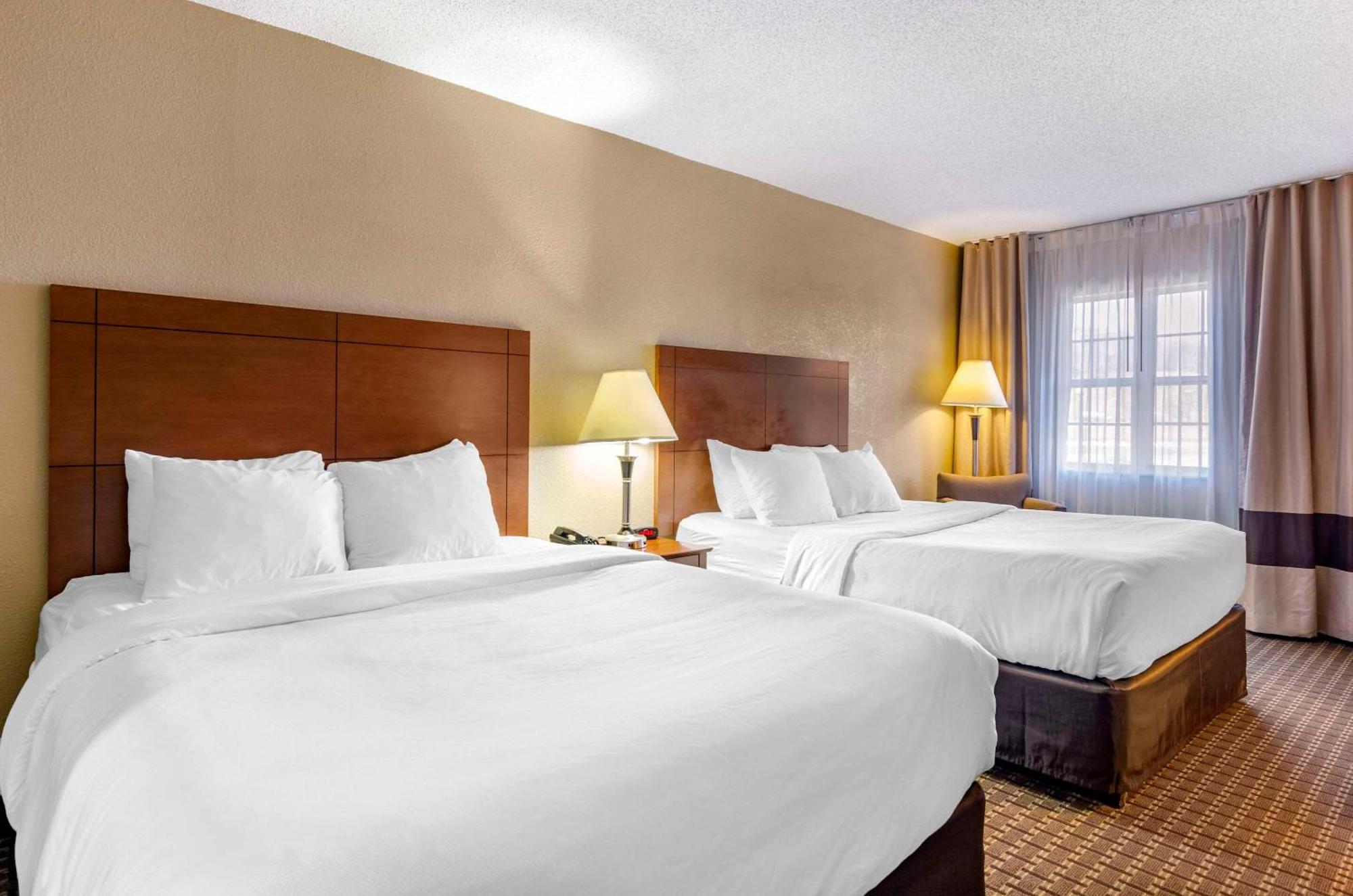 Comfort Inn & Suites Raphine - Lexington Near I-81 And I-64 מראה חיצוני תמונה