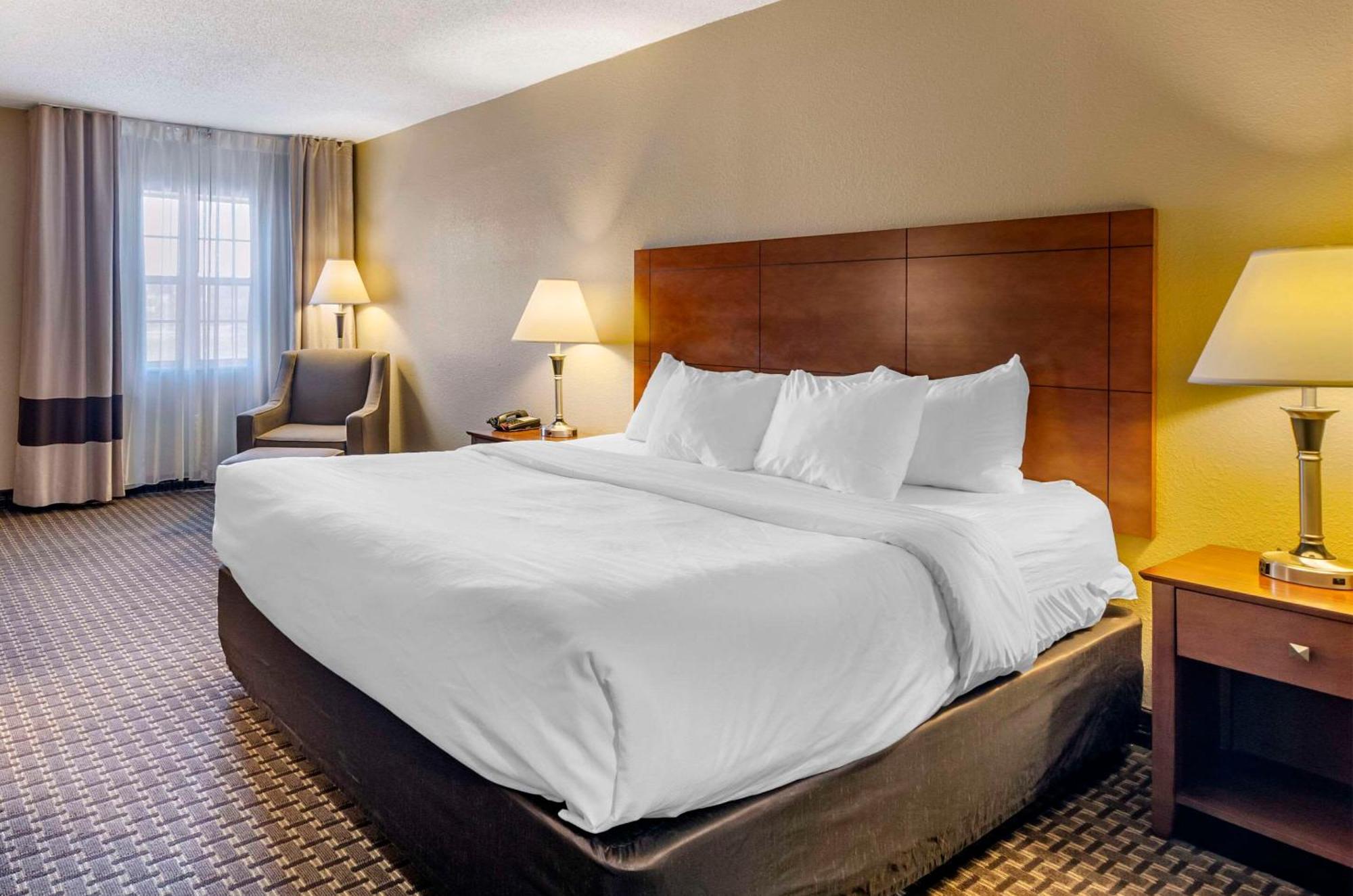 Comfort Inn & Suites Raphine - Lexington Near I-81 And I-64 מראה חיצוני תמונה