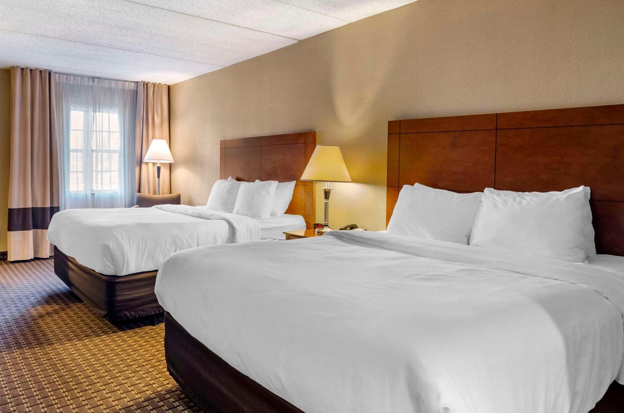 Comfort Inn & Suites Raphine - Lexington Near I-81 And I-64 מראה חיצוני תמונה