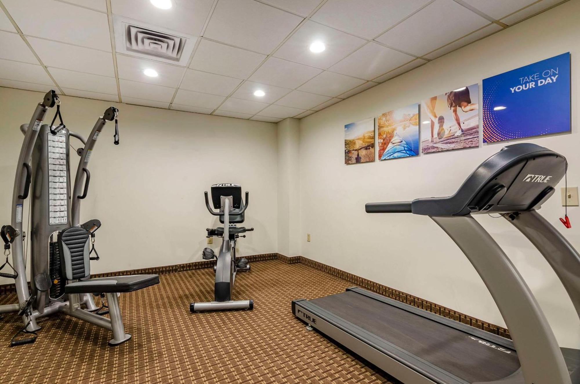 Comfort Inn & Suites Raphine - Lexington Near I-81 And I-64 מראה חיצוני תמונה