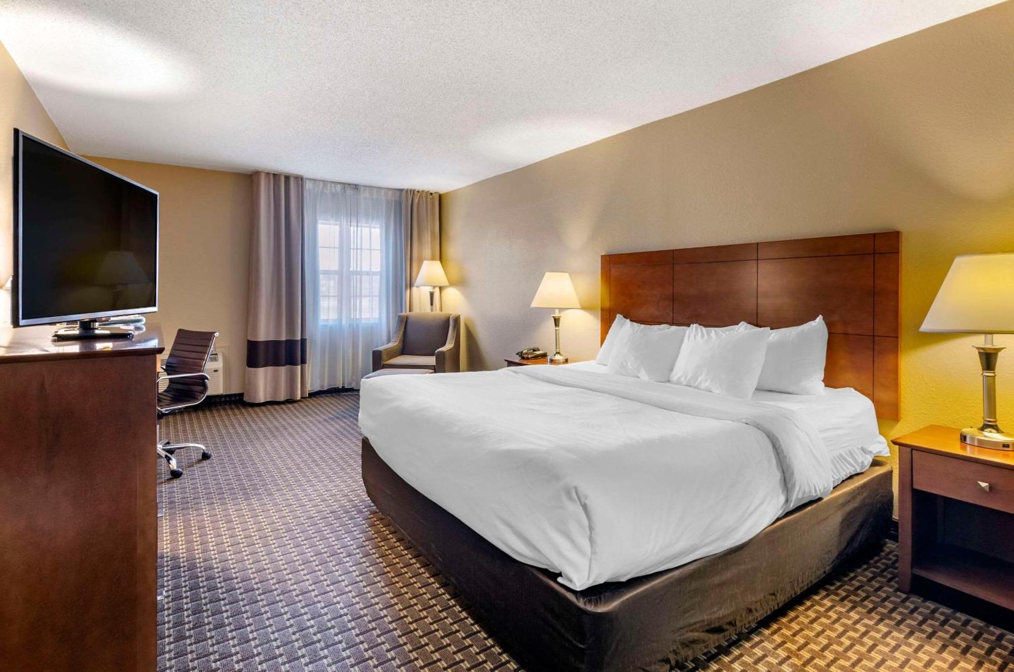 Comfort Inn & Suites Raphine - Lexington Near I-81 And I-64 מראה חיצוני תמונה