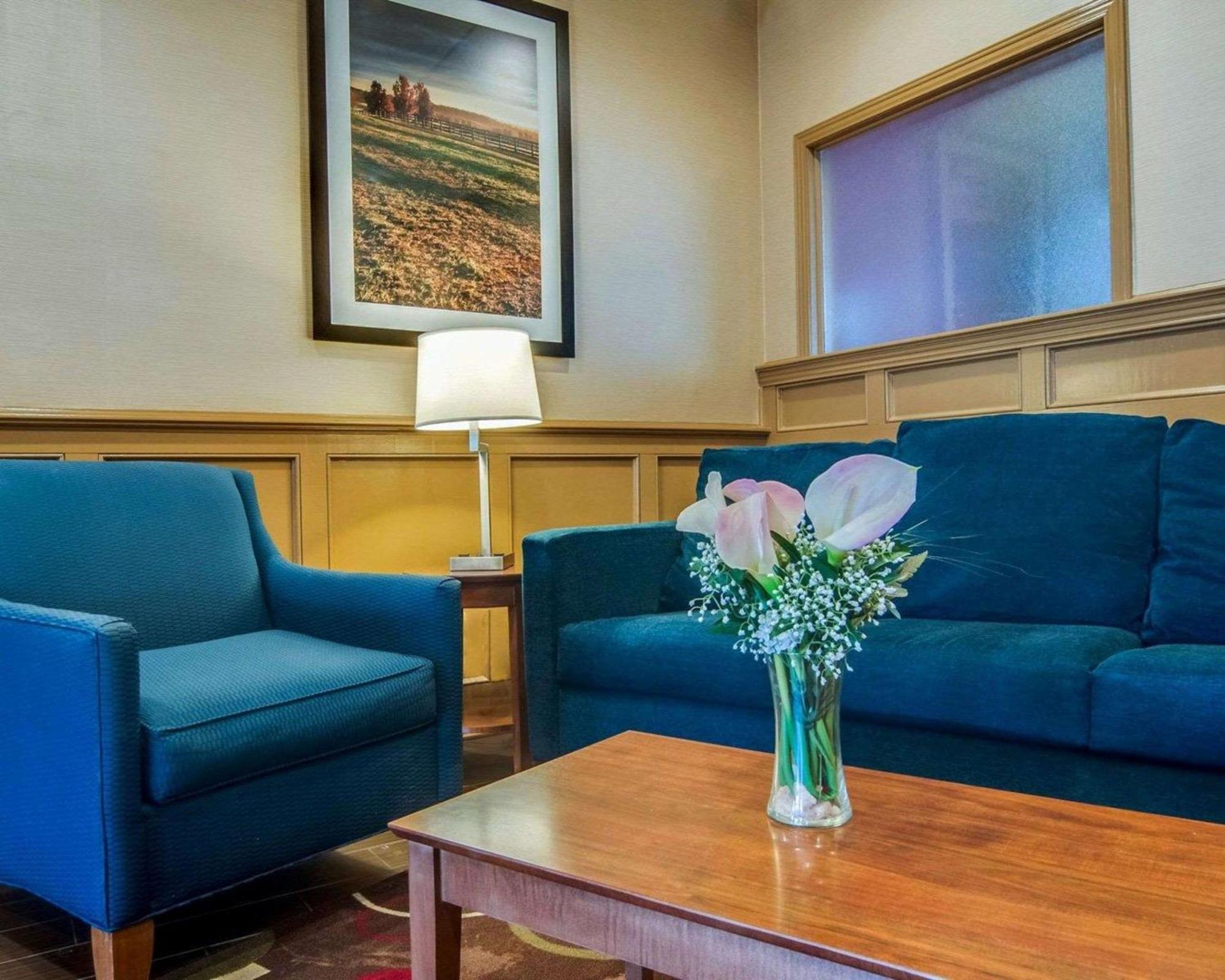 Comfort Inn & Suites Raphine - Lexington Near I-81 And I-64 מראה חיצוני תמונה